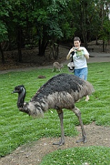 0820 Wildlife Habitat Port Douglas
